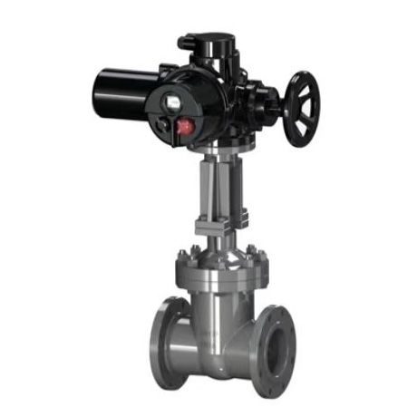 ���(d��ng)�Д��y